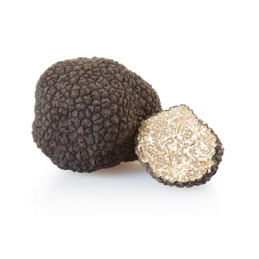 Fresh Black Truffle