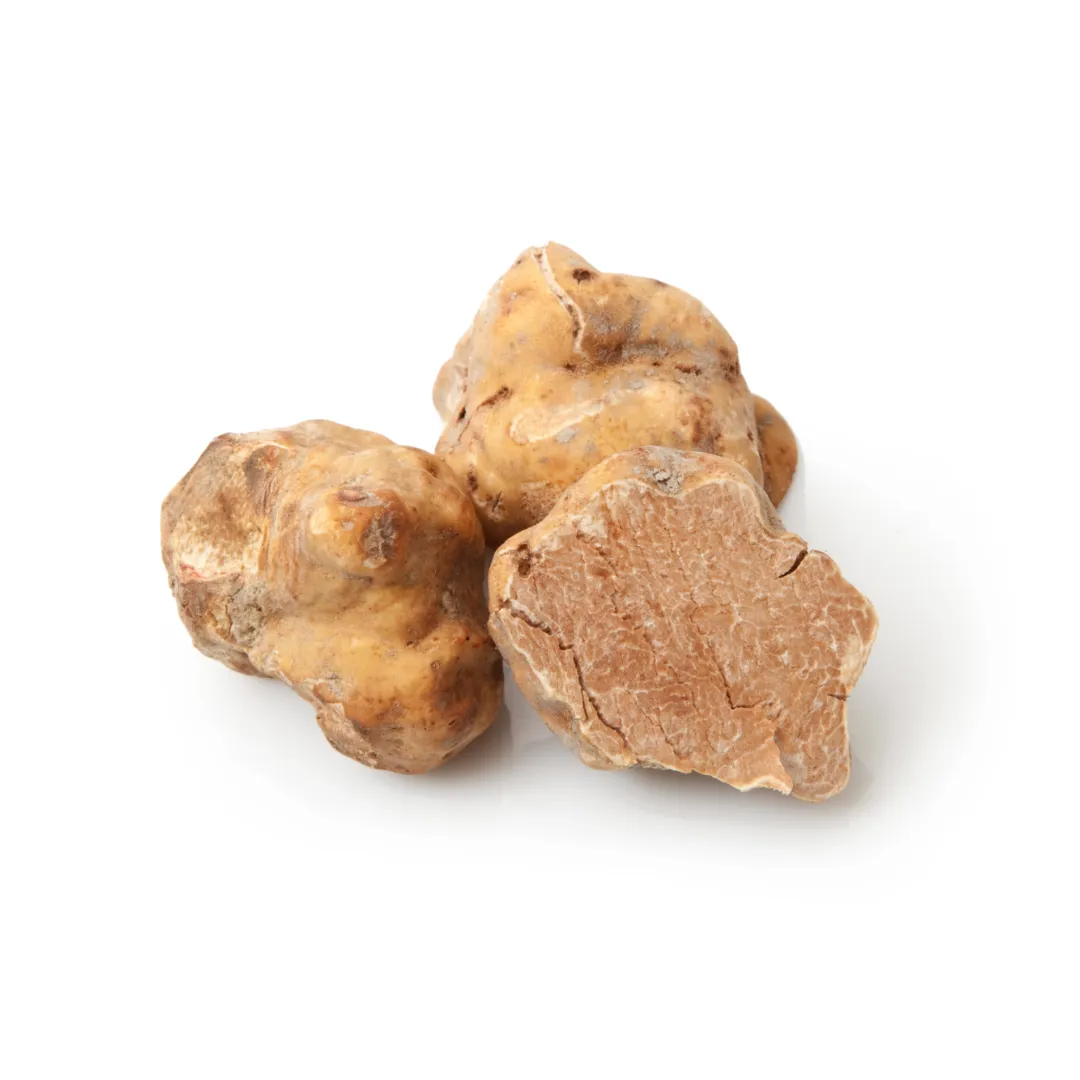 Fresh White Truffle