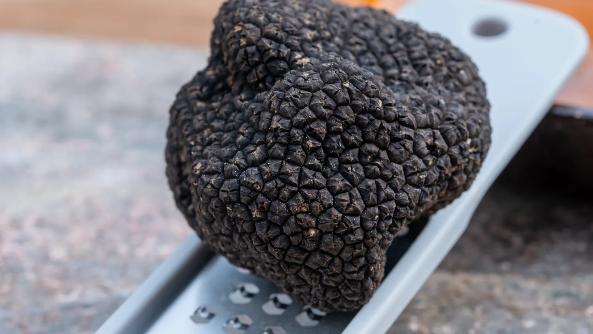 Fresh Black Truffle On A Metal Grater